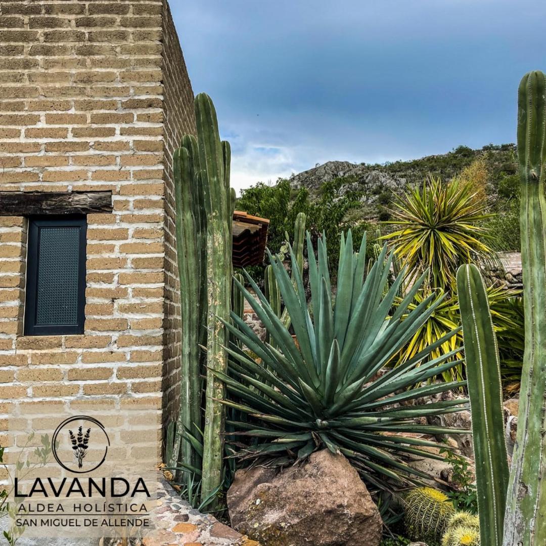 Lavanda Aldea Holistica San Miguel de Allende Exterior photo
