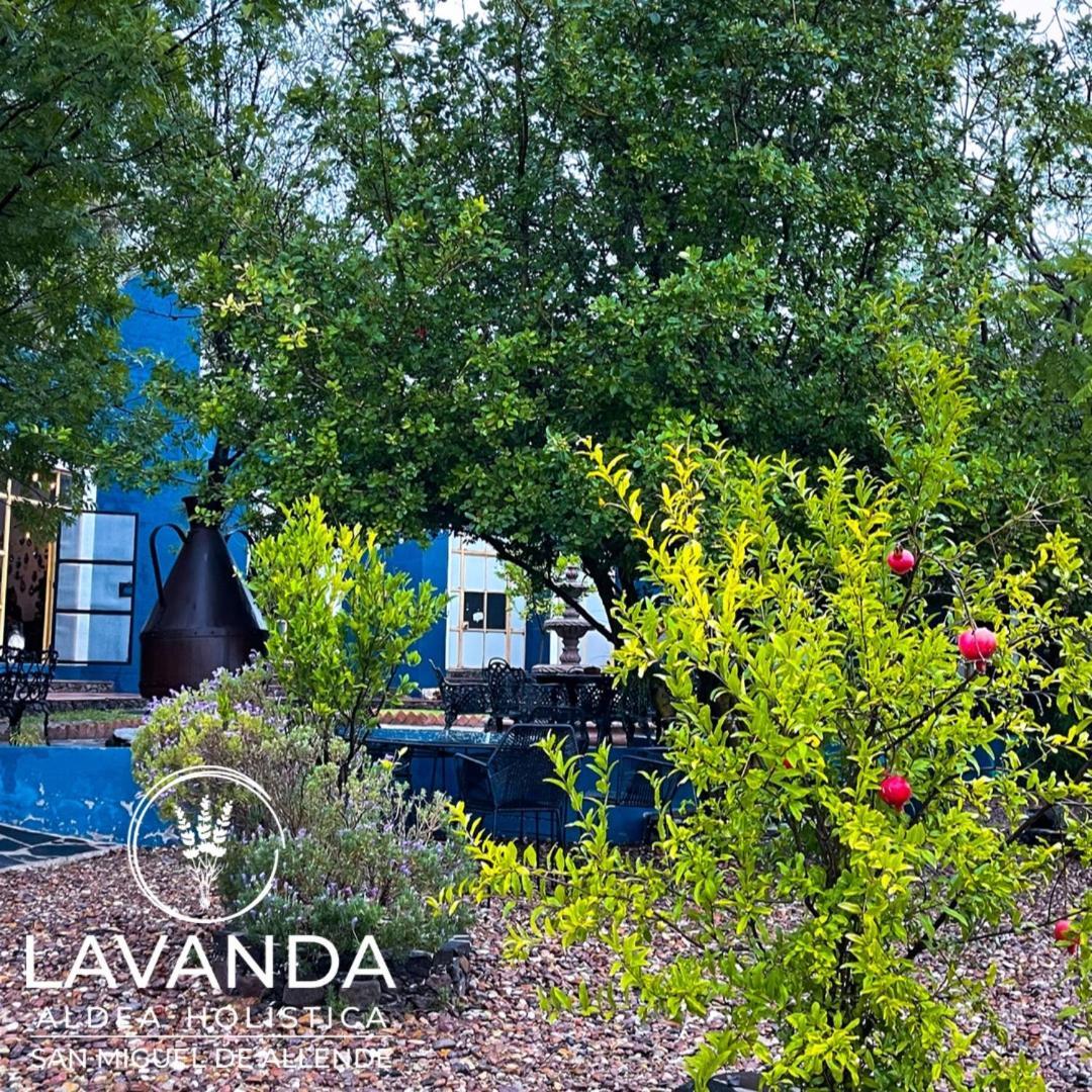 Lavanda Aldea Holistica San Miguel de Allende Exterior photo