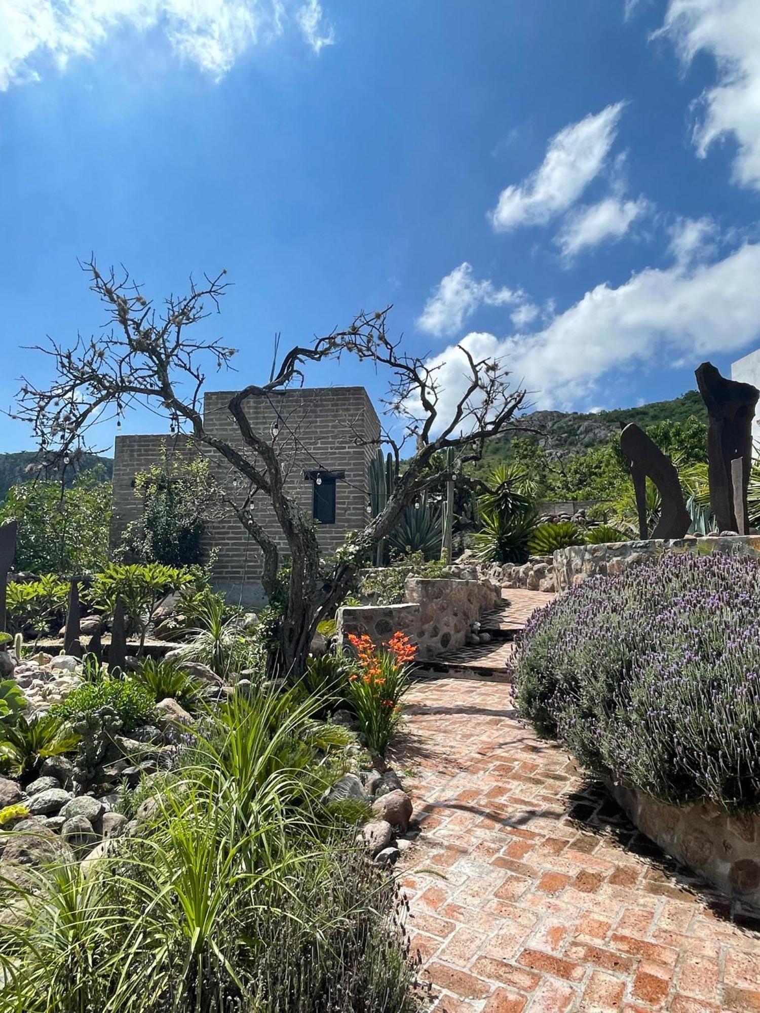 Lavanda Aldea Holistica San Miguel de Allende Exterior photo
